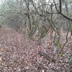 Medium '02.jpg' in der Kategorie 'Bergbau und Naturhöhlen'