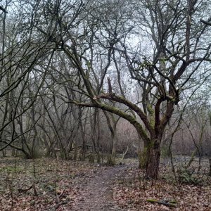 Medium '04.jpg' in der Kategorie 'Bergbau und Naturhöhlen'