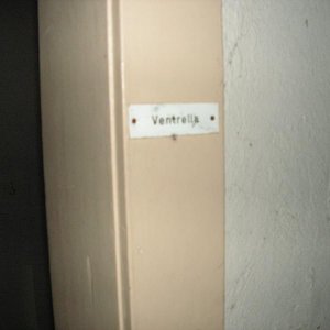 PICT0213.JPG