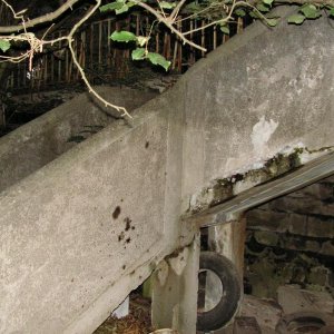 PICT0233.JPG