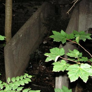 PICT0234.JPG