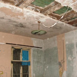 PICT0242.JPG