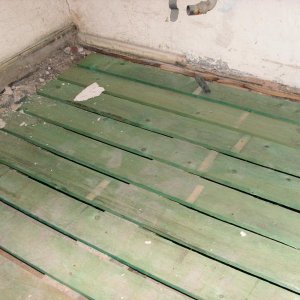 PICT0255.JPG