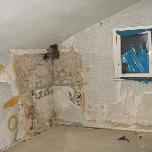 PICT0257.JPG