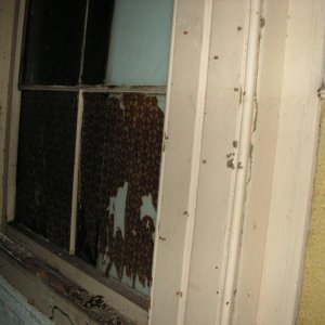 PICT0262.JPG