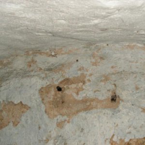 PICT0265.JPG