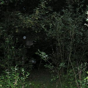 PICT0276.JPG
