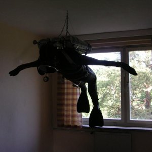 Bild 433.jpg