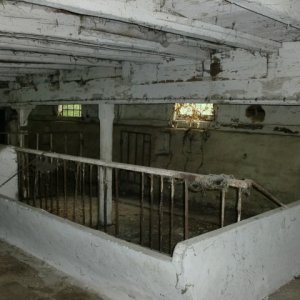 CIMG0198.JPG