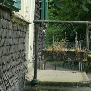 CIMG0227.JPG