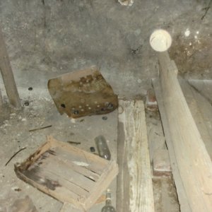 CIMG0248.JPG