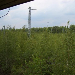 CIMG2792.JPG