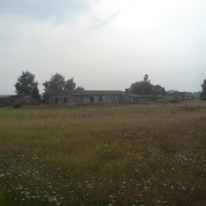 DSC00956.JPG