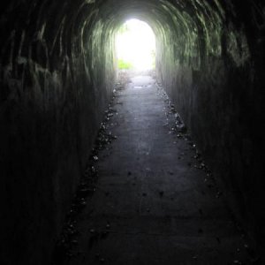 tunnel11.jpg