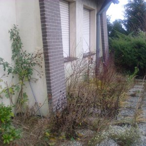 Bild 003.jpg
