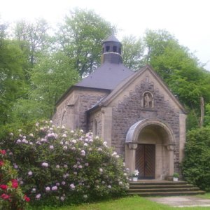 DSCI0282.JPG