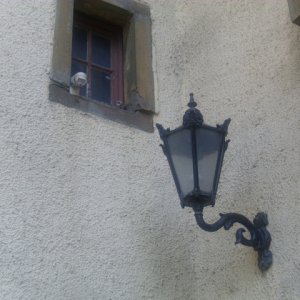 DSCI0345.JPG