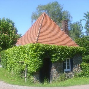 DSCI0358.JPG