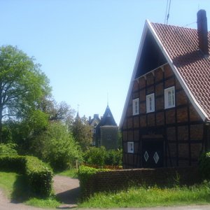 DSCI0361.JPG