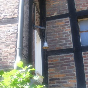 DSCI0363.JPG