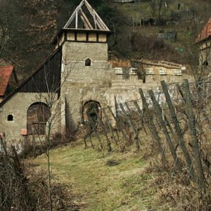 Illegal-in-den-Weinberg-gebaute-Burg-in-Heppenheim-wird-abgerissen.jpg