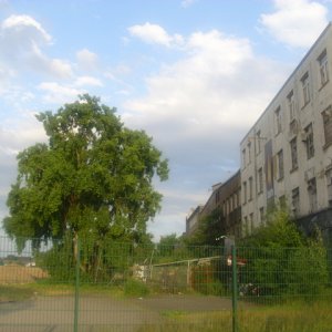 DSCI0931.JPG
