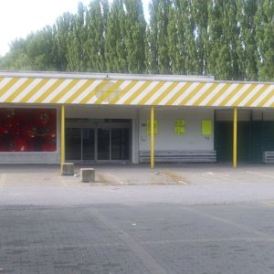 DSCI1167.JPG