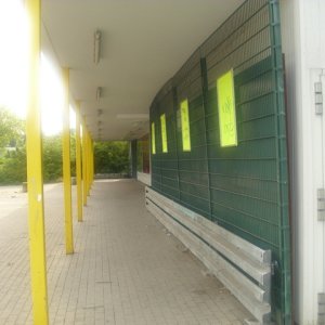 DSCI1162.JPG