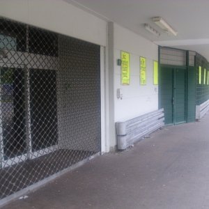 DSCI1145.JPG