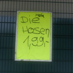 DSCI1140.JPG