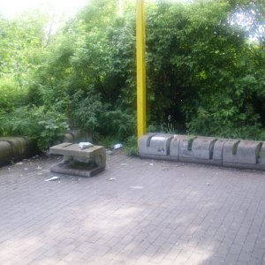 DSCI1170.JPG