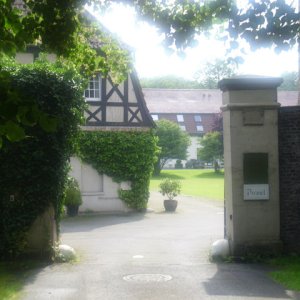 DSCI1098.JPG