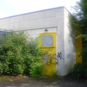 DSCI1146.JPG