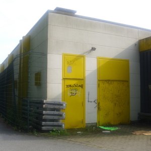 DSCI1155.JPG