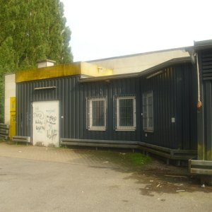 DSCI1150.JPG