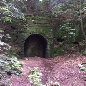 Cottaer Tunnel.jpg