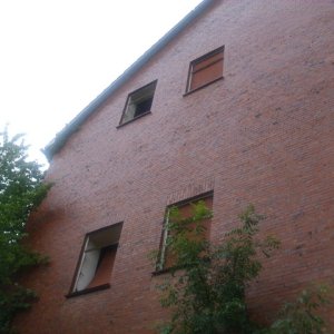 DSCI1191.JPG