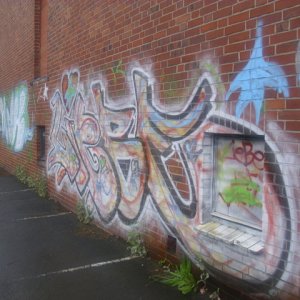 DSCI1221.JPG