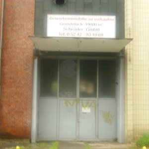 DSCI1196.JPG