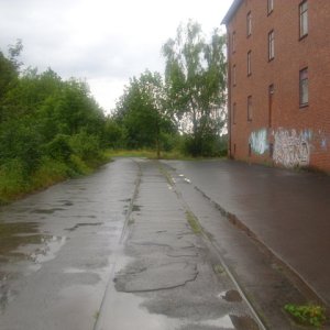 DSCI1219.JPG