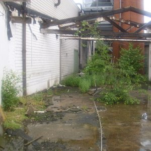 DSCI1244.JPG
