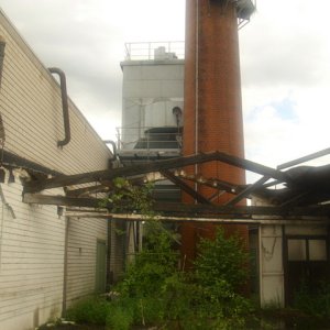 DSCI1245.JPG