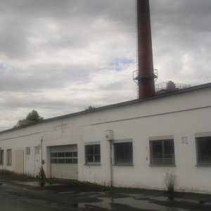 DSCI1240.JPG