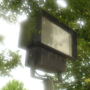 DSCI1263.JPG