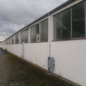 DSCI1273.JPG