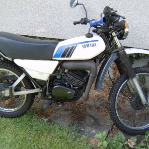 SV600346.JPG