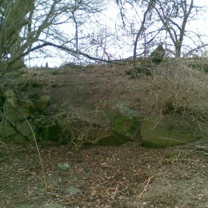 Reste des Bunkers 309 (2).jpg