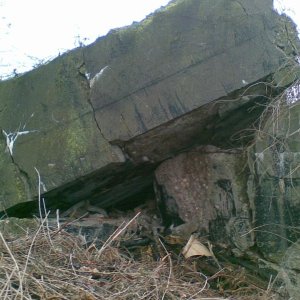 Reste des Bunkers 309 (3).jpg