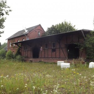 DSCF0608.JPG