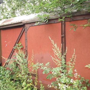 DSCF0679.JPG